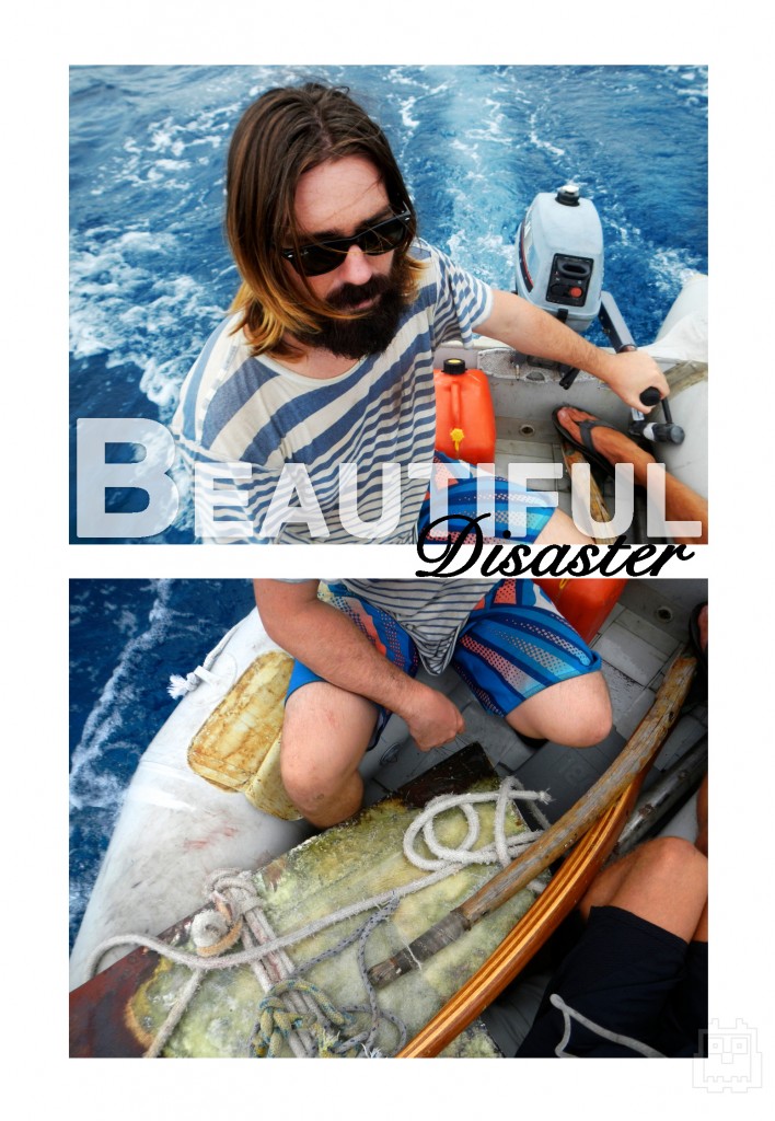 Beautiful Disaster Cover Image