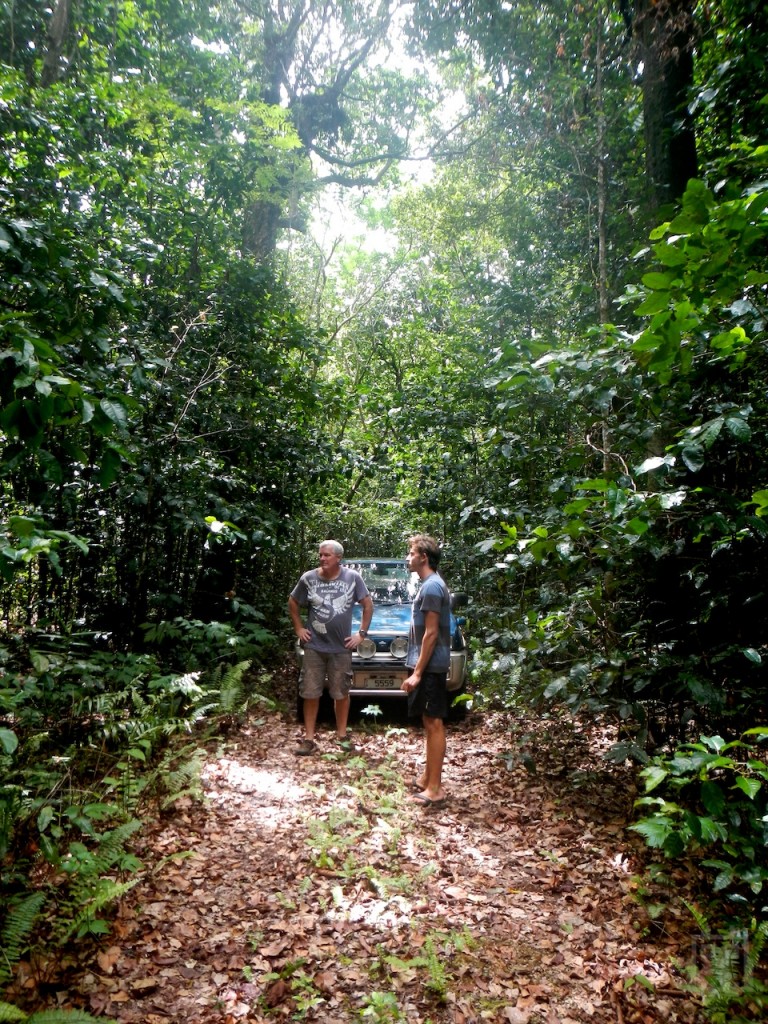 Huvalu Forest Niue