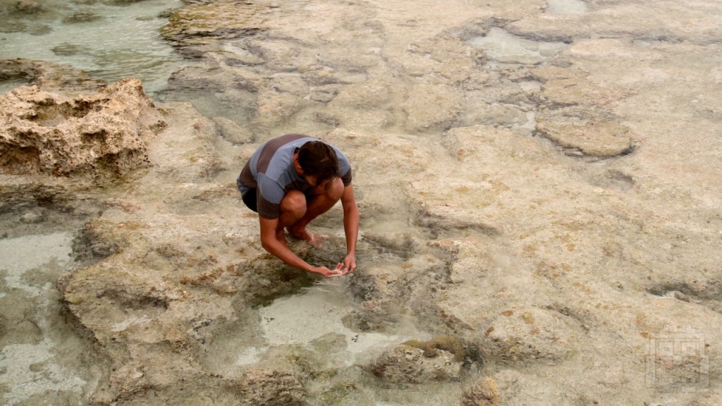 Tide Pools