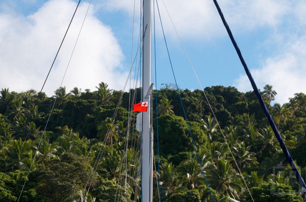 Tongan flag flown proud