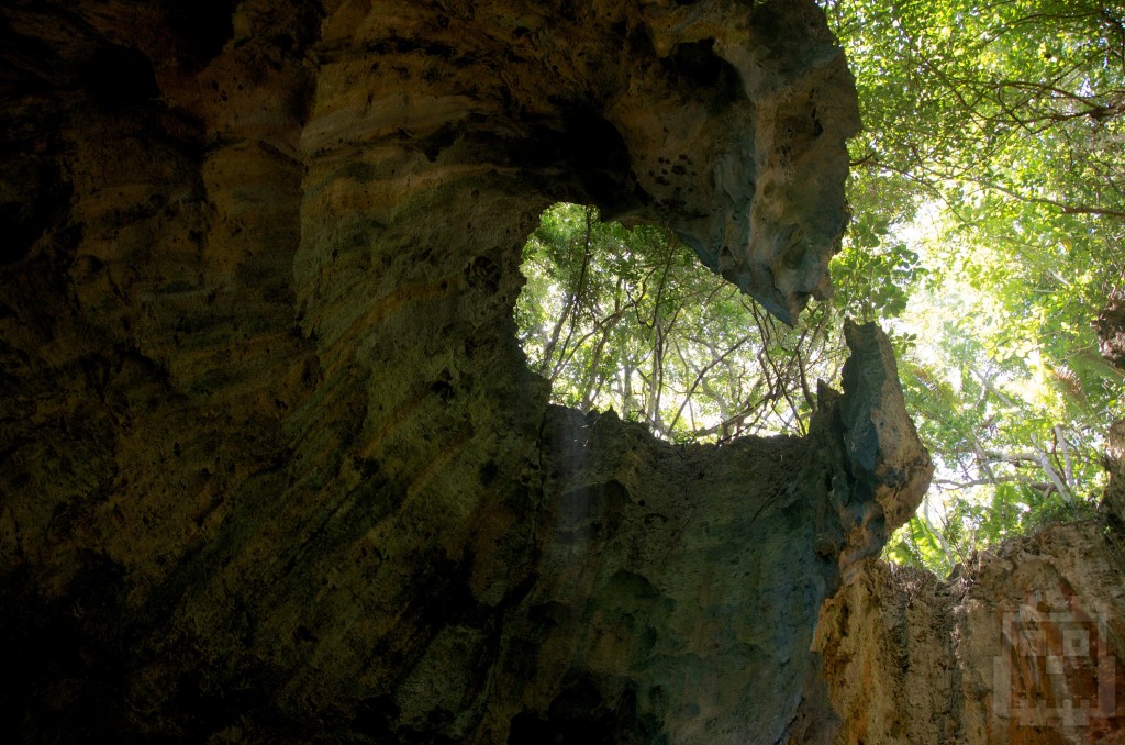 The view up Swallows Cave